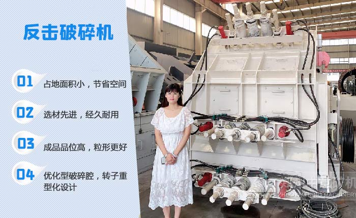 玄武巖處置設備